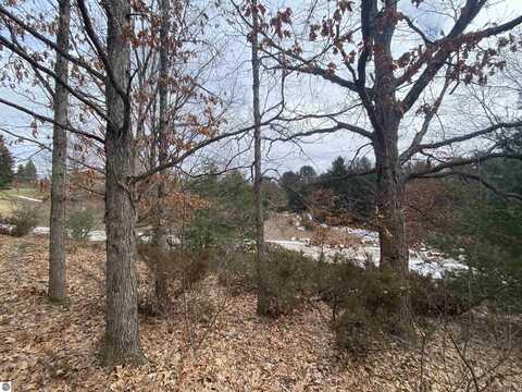 Lot 38 Kirkridge Drive, Williamsburg, MI 49690