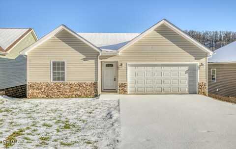 129 Brighton Place, Bristol, TN 37620