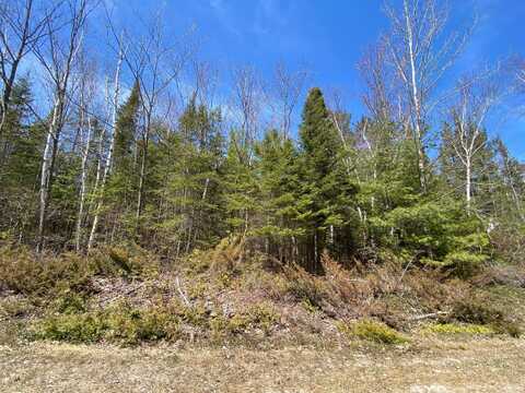 Lot 254 Pineview Drive, Presque Isle, MI 49777