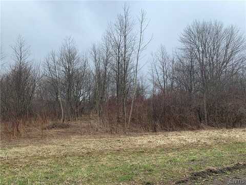 00 Sunrise Drive, Hannibal, NY 13074