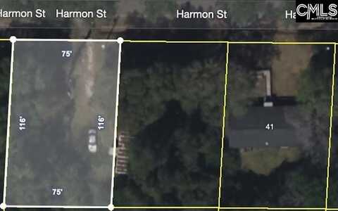 000 Harmon Street, Hemingway, SC 29554