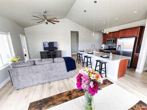 1447 Excelsior Creek Avenue, Montrose, CO 81401