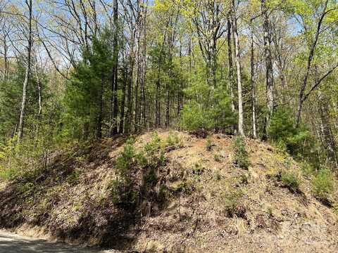 Hidden Trail, Franklin, NC 28734