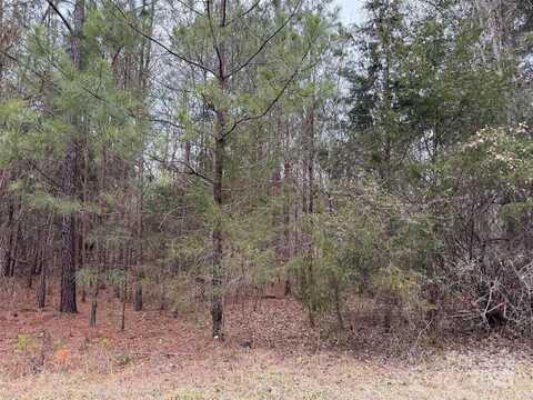 Lot 54 Joe Louis Boulevard, Rock Hill, SC 29730