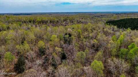 0 Fire Tower Road, Parsons, TN 38363