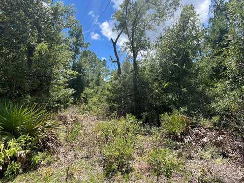 000 822nd St, Old Town, FL 32680