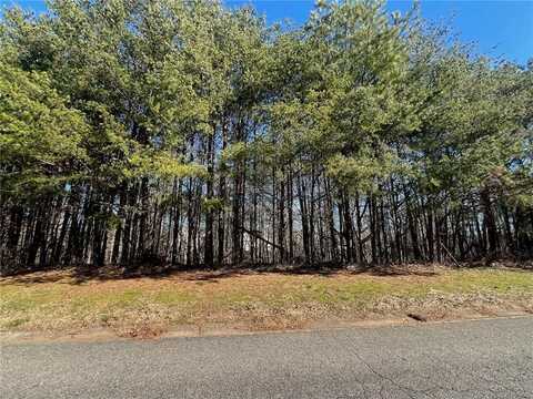 924 Whistler Lane, Canton, GA 30114