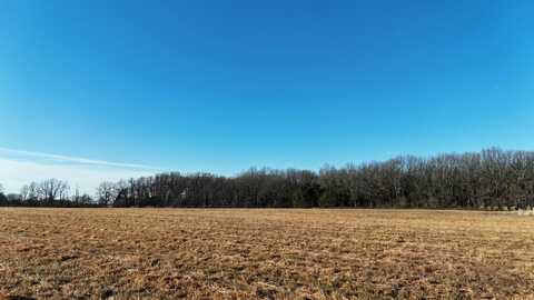 Tract 2 Pleasant Grove Road, Fordland, MO 65652