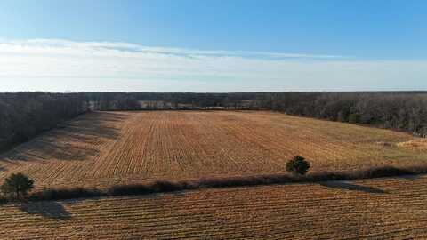 Tract 3 Pleasant Grove Road, Fordland, MO 65652