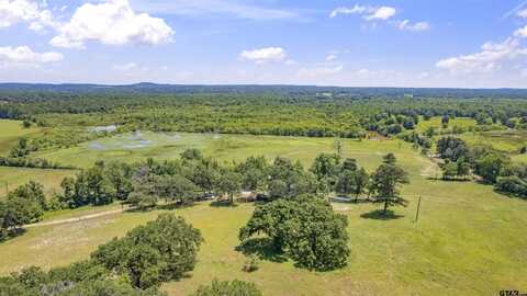 12250 CR 3513, Brownsboro, TX 75756