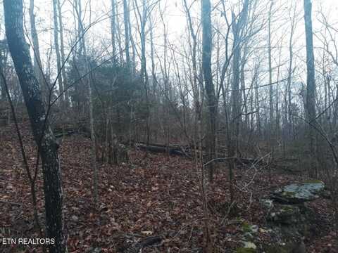 Crab Mountain Rd, Jamestown, TN 38556