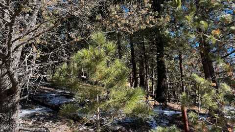 123 Canyon Trail, Cloudcroft, NM 88317