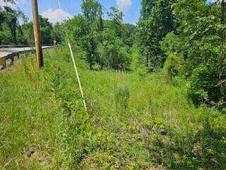 Leatherwood, Salt Lick, KY 40371