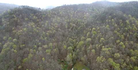0 Pound Mill Branch, Wooton, KY 41776