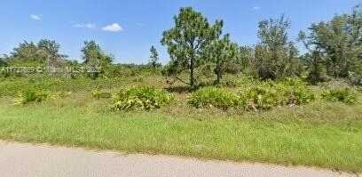 29328 PONTICO ST, Punta Gorda, FL 33982