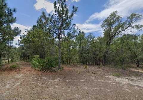 3 ELDER COURT W, HOMOSASSA, FL 34446