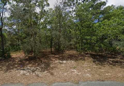 6 ELDER DRIVE, HOMOSASSA, FL 34446
