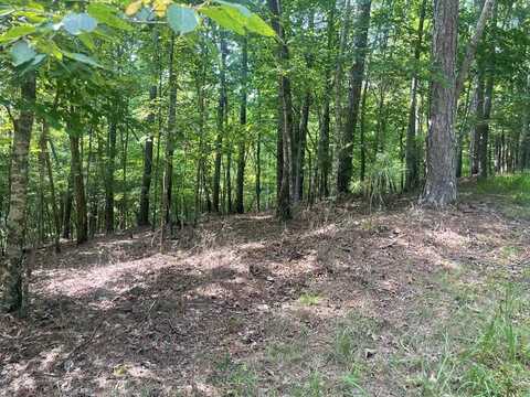 Lot 3279 Haven Court, Ellijay, GA 30540