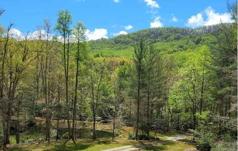 1171 Picklesimer Mountain Road, Morganton, GA 30560