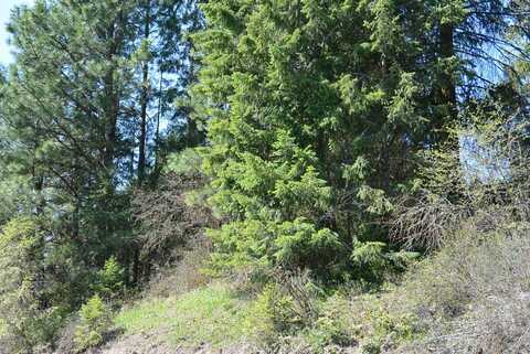 TBD LONG PRAIRIE OR BITTERIDGE RD. RD, VALLEY, WA 99181