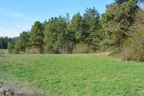 TBD LONG PRAIRIE OR BITTERIDGE RD. RD, VALLEY, WA 99181