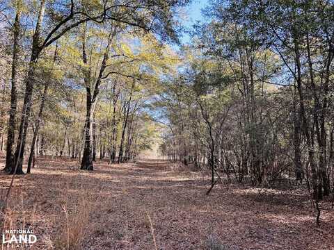 0 Harrison Mill Road, Coleman, GA 39836