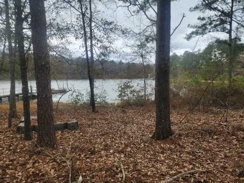 0 Hidden Lagoon Drive, Fort Gaines, GA 39851