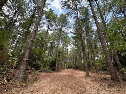 4 Pleasant Lane, Wesson, MS 39191