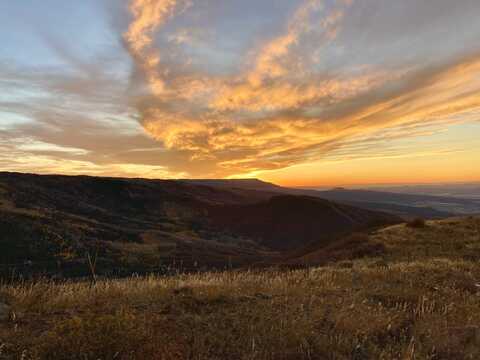 TBD 56 1/2 Road, Collbran, CO 81624