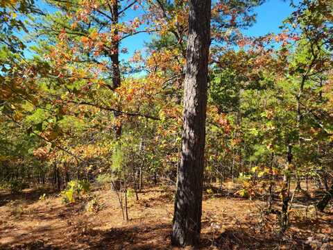 40 ACRES US 1 AND STATE HIGHWAY 2, Talihina, OK 74571