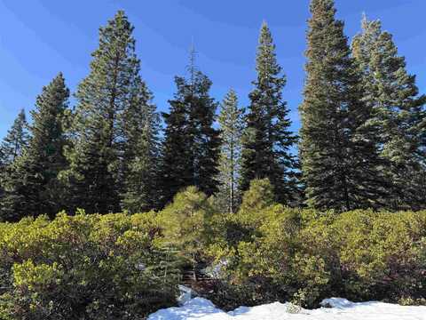 442 Dinsmore Drive, Lake Almanor, CA 96137