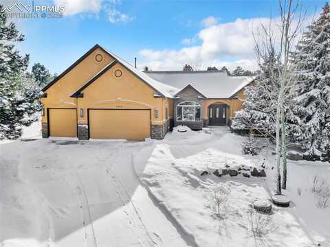 1565 Old Antlers Way, Monument, CO 80132