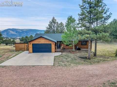 1441 High Chateau Road, Florissant, CO 80816