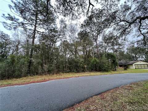2966 W Camilo Drive, Citrus Springs, FL 34434