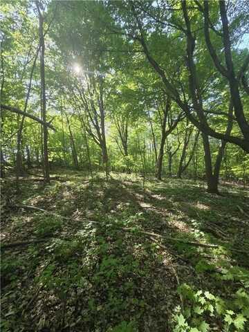 Xxx 760th, Trimbelle, WI 54011