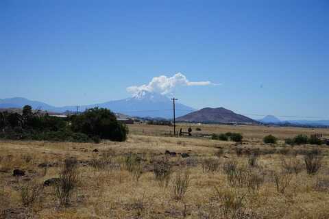 NSA Pheasant, Montague, CA 96064