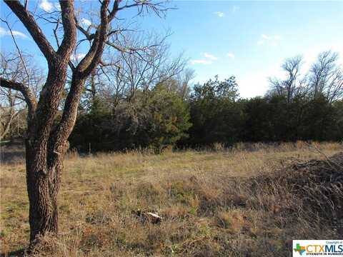 Lot 2,Block 6 CR 421, Evant, TX 76525