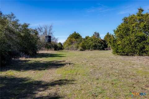 1589 Jeddo Road, Rosanky, TX 78953