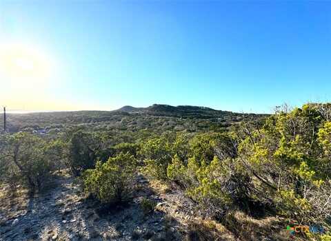 1220 Serenity, Fischer, TX 78623