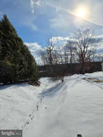 0 MOSHANNON AVENUE, SNOW SHOE, PA 16874