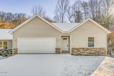 216 Brighton Place, Bristol, TN 37620