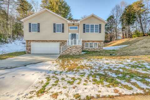 134 Brighton Place, Bristol, TN 37620