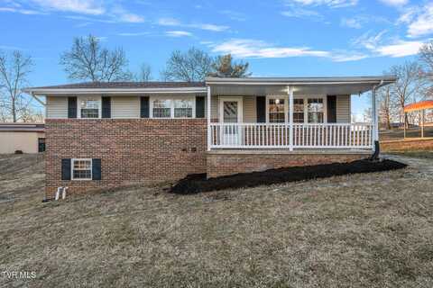 290 Polly Anna Drive, Mosheim, TN 37818