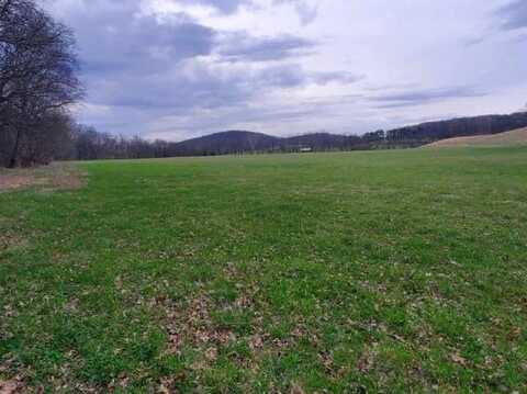 Plunkett Creek Rd, GORDONSVILLE, TN 38563