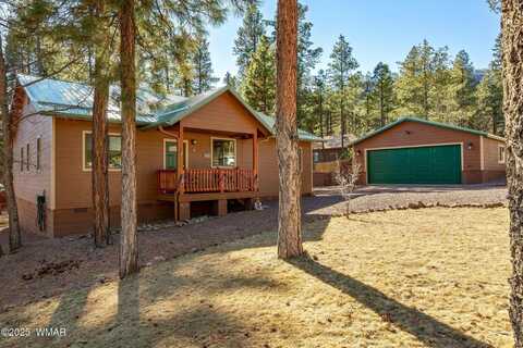 6 County Road 2191, Alpine, AZ 85920