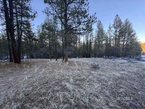 Bobcat Circle, Beatty, OR 97621