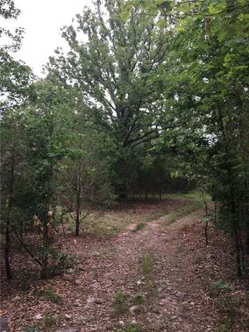 Tract A Deer Haven TR, Salem, AR 72576