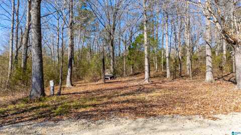 2863 HIGHWAY 204, JACKSONVILLE, AL 36265