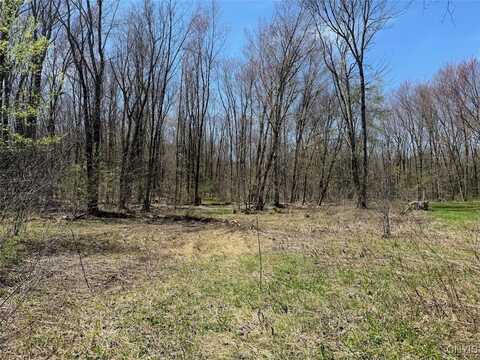 117 Albion Cross Road, Albion, NY 13131