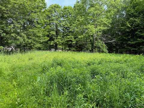 206 Durgee Road, Orwell, NY 13302